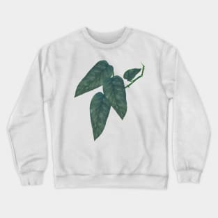 Pothos Cebu Blue Leaf Crewneck Sweatshirt